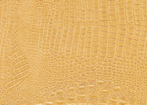 Croco-058