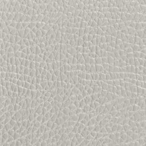Coarse Leather